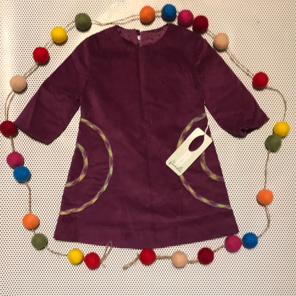 Isabel Garreton velvet dress
